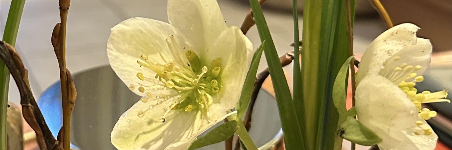 Louise Hudson banner