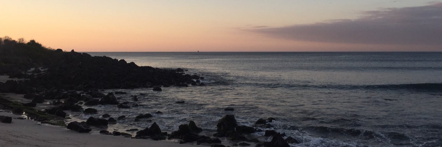 emma_deas's profile banner image