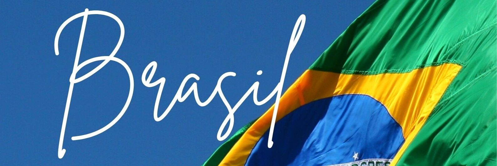 vidottosp's profile banner image