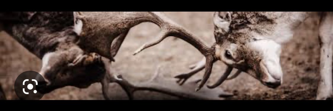 Phil Copas 🇺🇸 banner