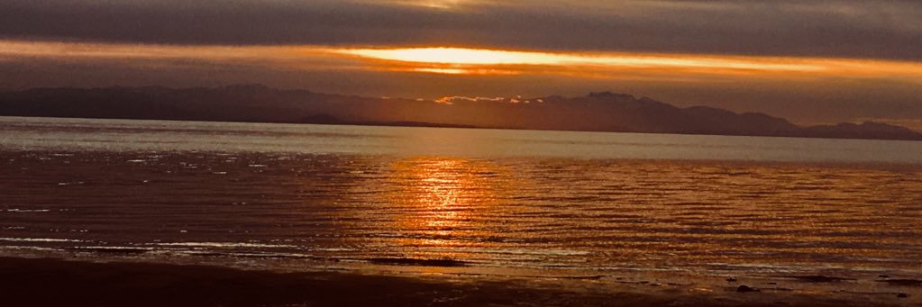 Wozney's Wonders banner