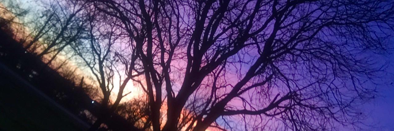 MirandaHawes's profile banner image