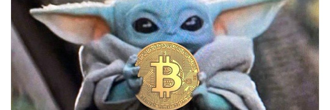 Bfelo's profile banner image