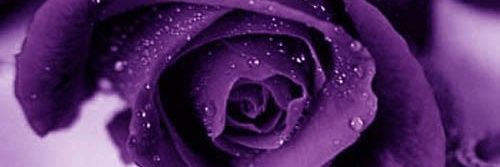 LILPIXIE29's profile banner image