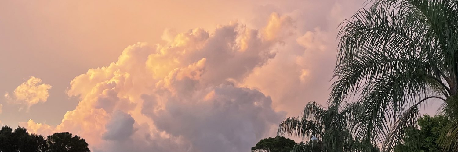 hannahnesan's profile banner image
