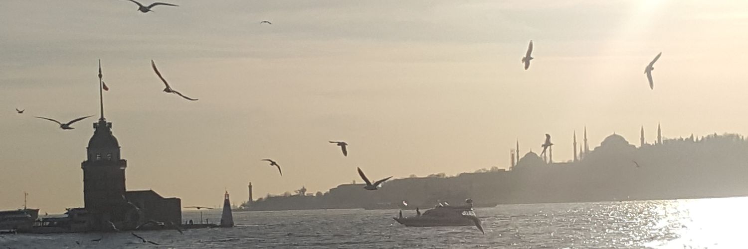 stt_38's profile banner image