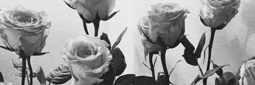 nichaa_s's profile banner image