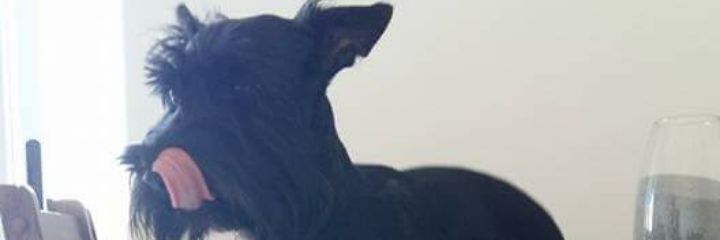 mverj's profile banner image