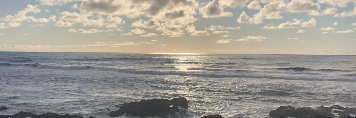 kbisch23's profile banner image