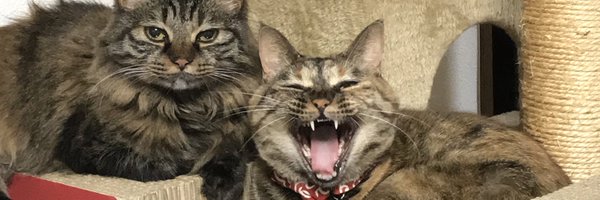 MAKIDK Profile Banner