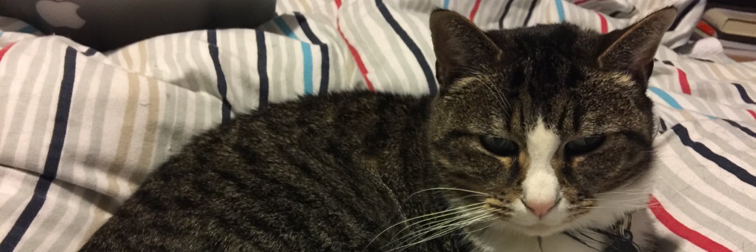 vampcat's profile banner image