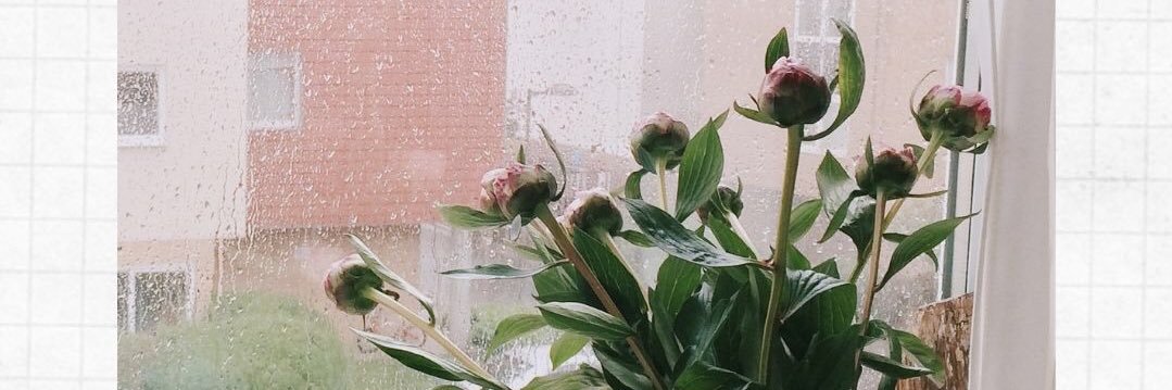 dedefauziah30's profile banner image