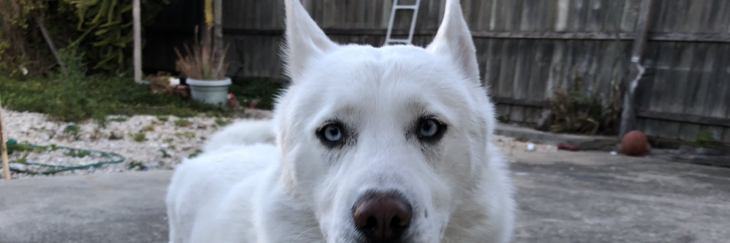 h banner