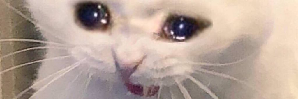 peaking_cat's profile banner image