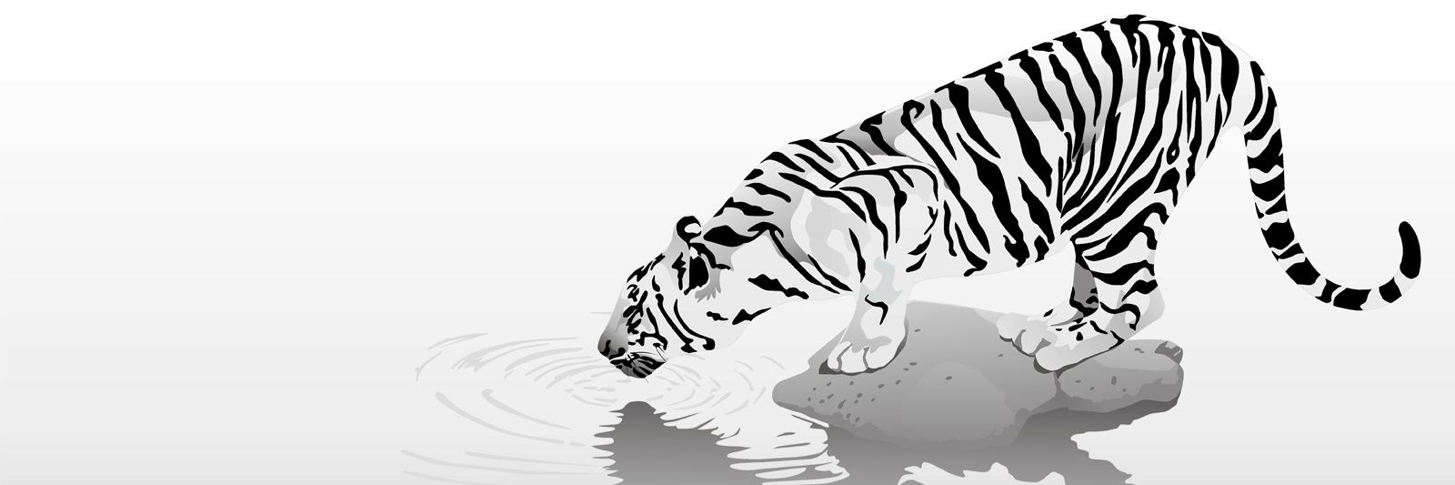 RexKusac's profile banner image