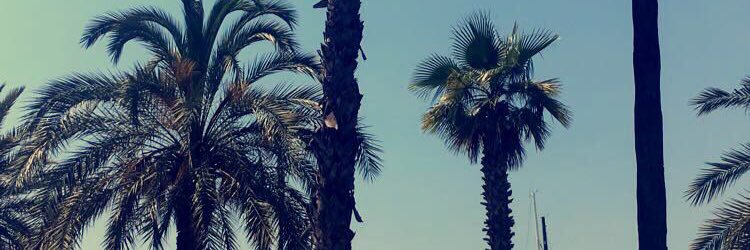 Bethjward's profile banner image