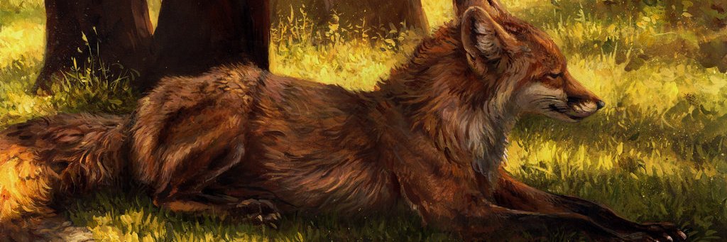 LiFoxDZN's profile banner image