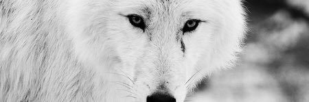 TOOnyc_'s profile banner image