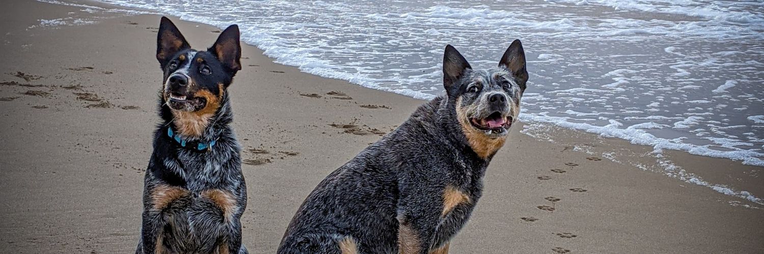 kathie stan🌈🇦🇺 banner