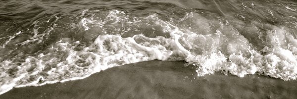 Josh_Le Profile Banner