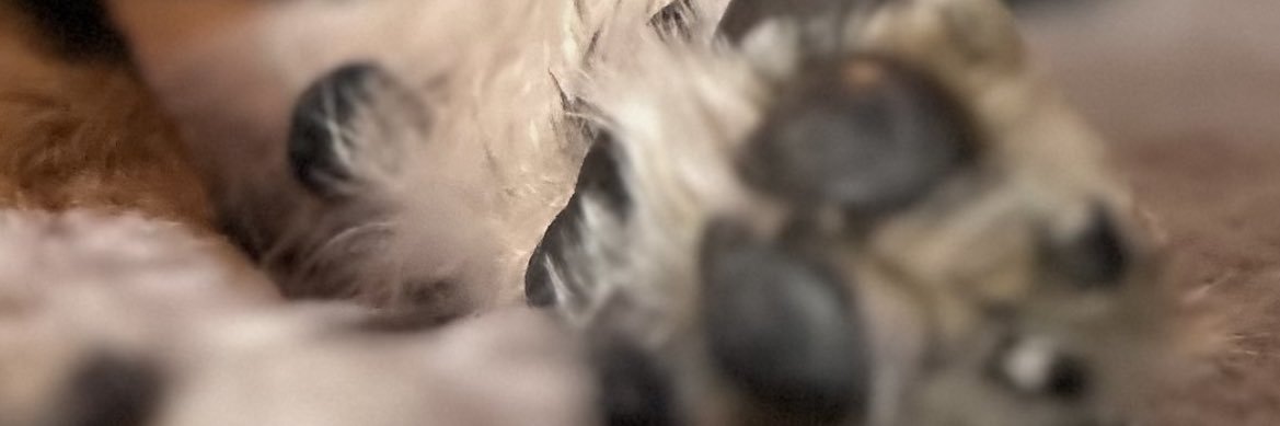 𝒹𝒶𝓇𝓎𝓃 banner