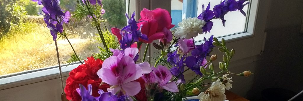 Guida Al·lès banner