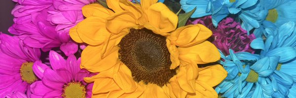 Teaacup_ Profile Banner