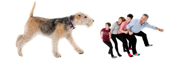 jollijacktar Profile Banner