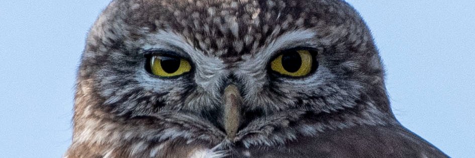 erdo_1903's profile banner image