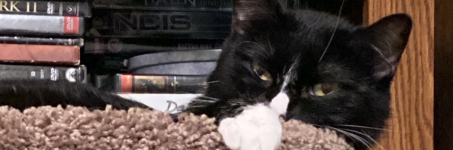 whreglsdr's profile banner image
