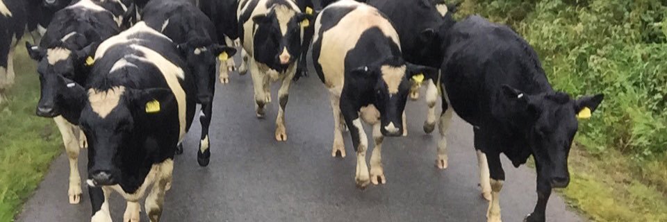 Gruffjones93's profile banner image
