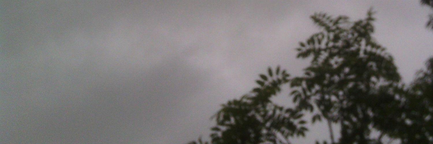 zhryh_'s profile banner image