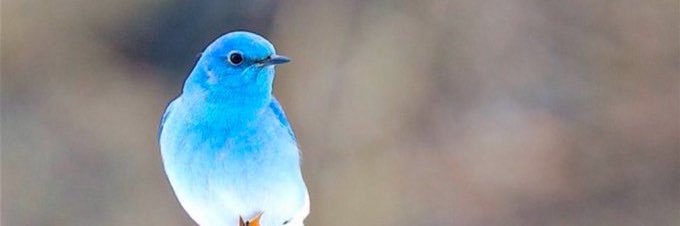 mvsty01's profile banner image