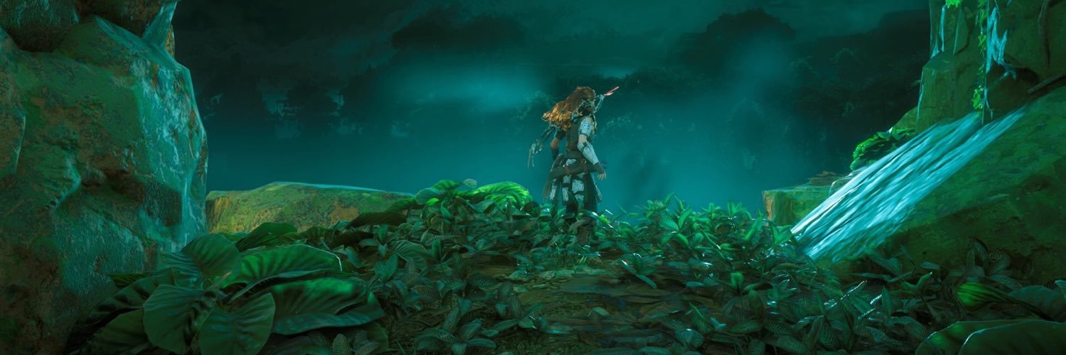 David (DMCDawg) banner