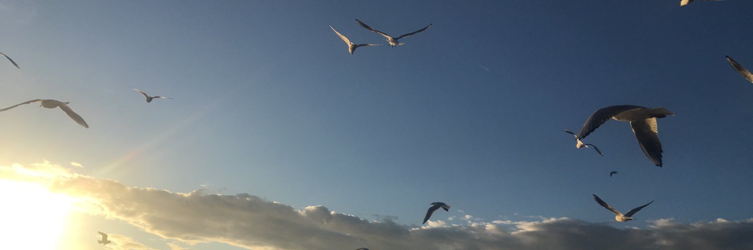 edaskmen's profile banner image