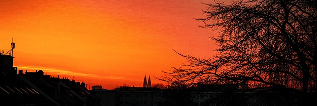 Manuel Alonso banner