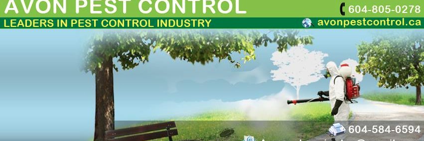 avonpestcontrol's profile banner image