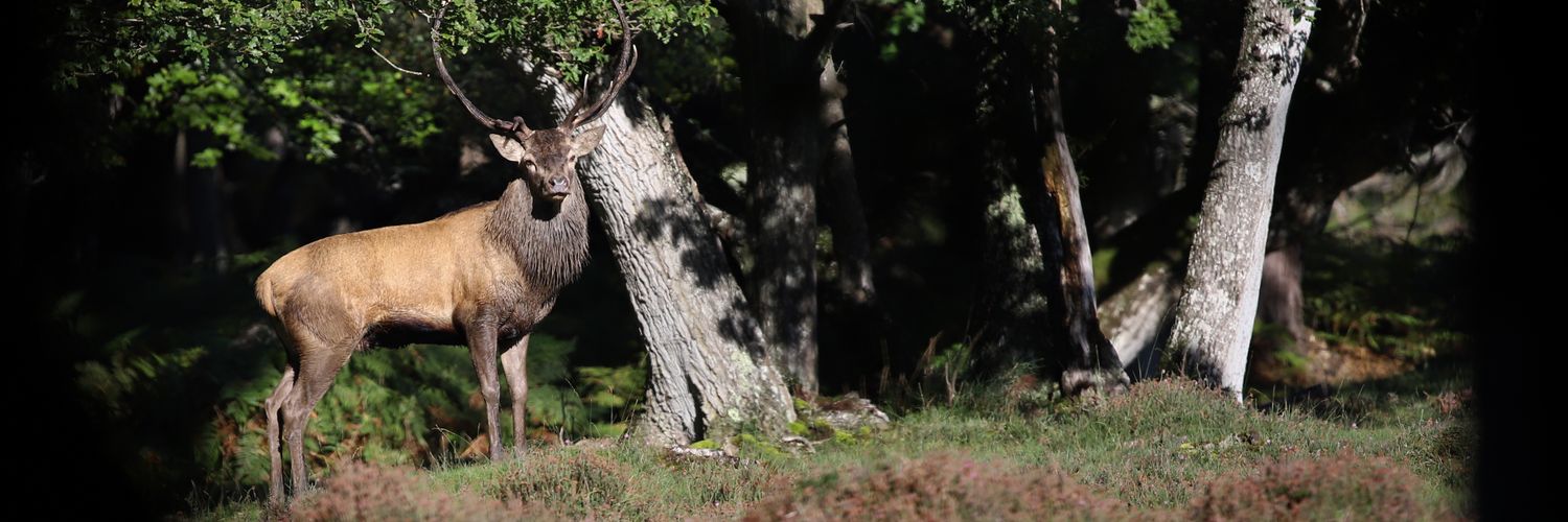 paulblackley's profile banner image