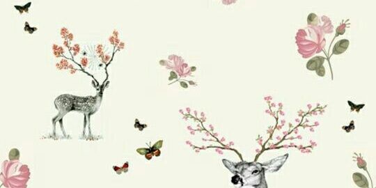 lamya_fs's profile banner image