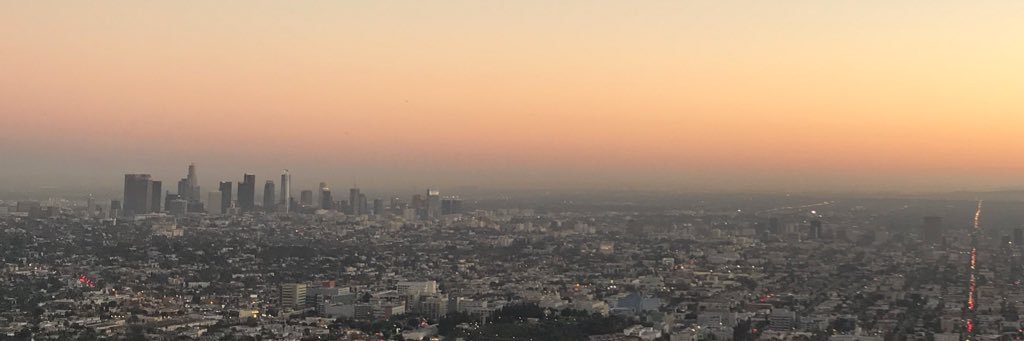mcreech1's profile banner image
