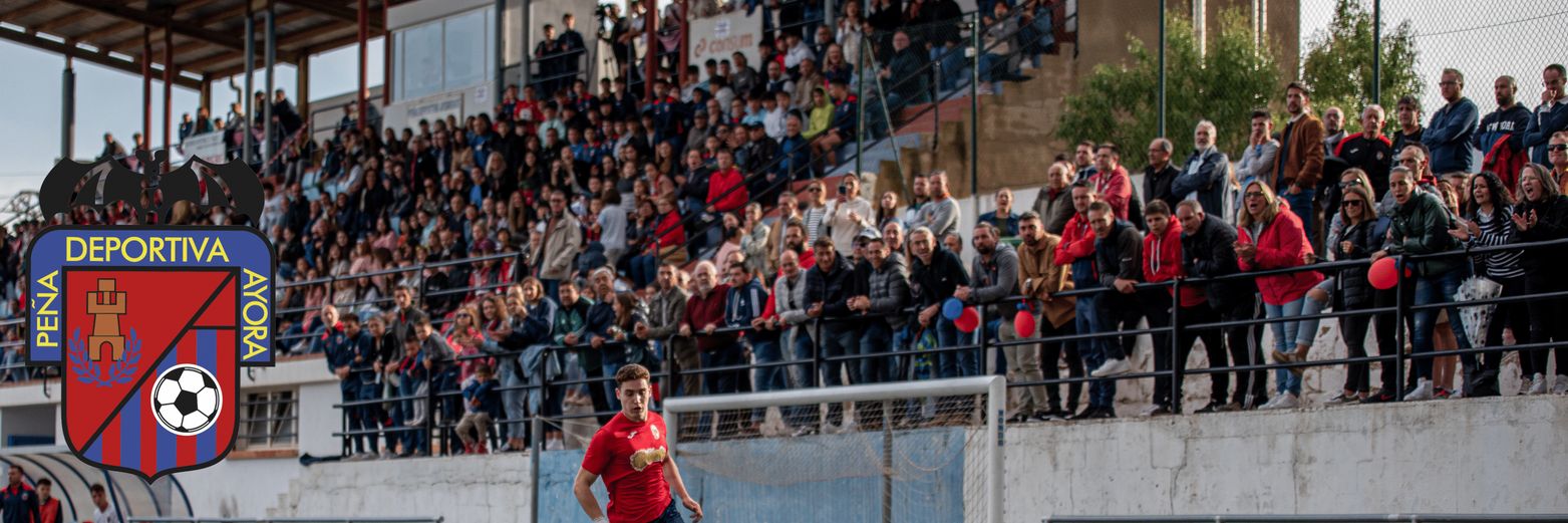 PD Ayorense banner