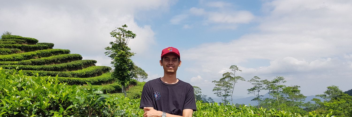 erlangnp's profile banner image