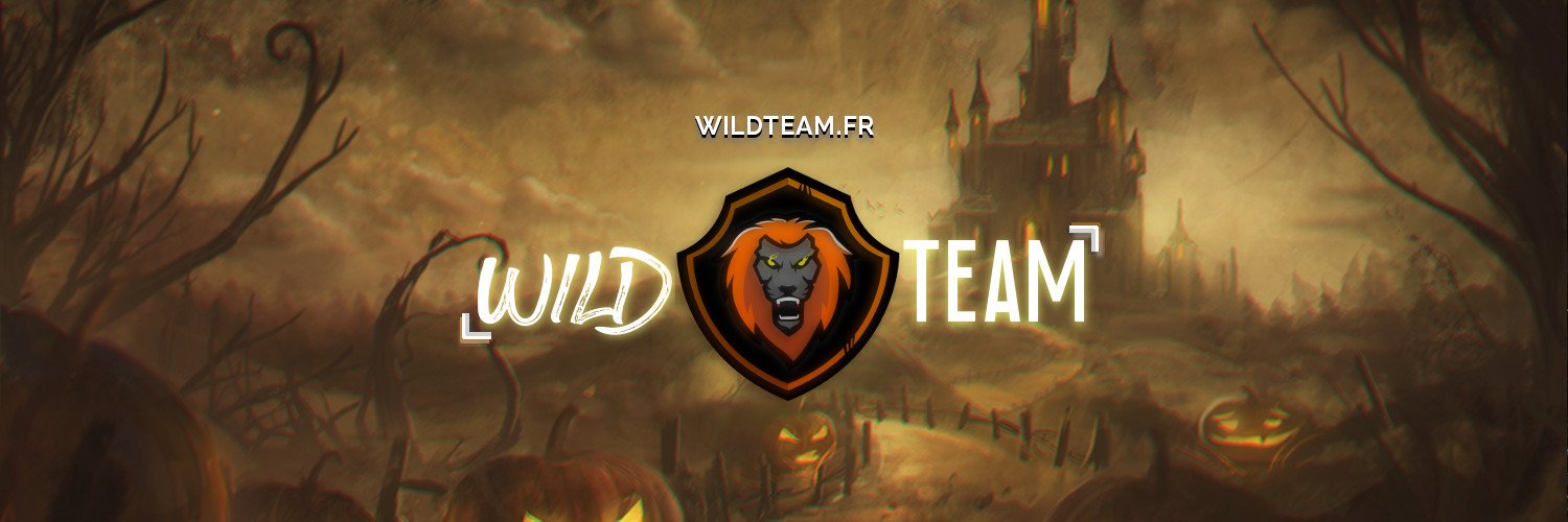 WildTeamGroup's profile banner image