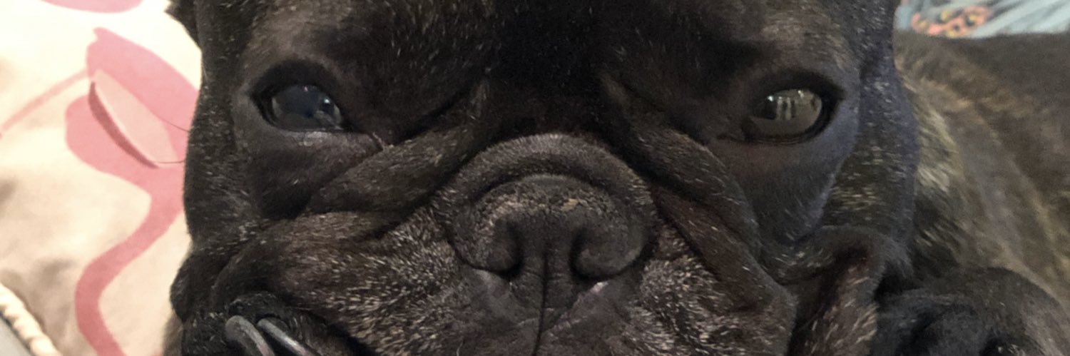 diguinhoo's profile banner image