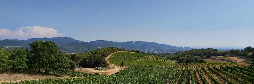 alanbertram's profile banner image