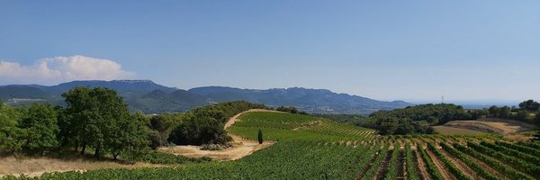 alanbertram Profile Banner