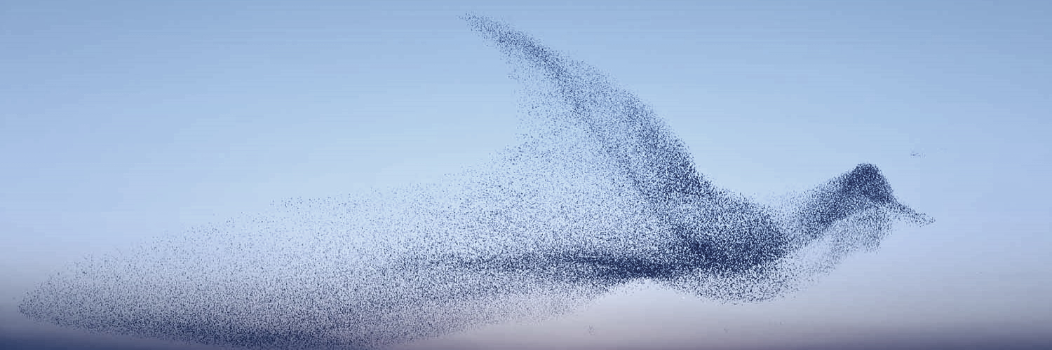 Martin Levi #JavidShah עם ישראל חי banner