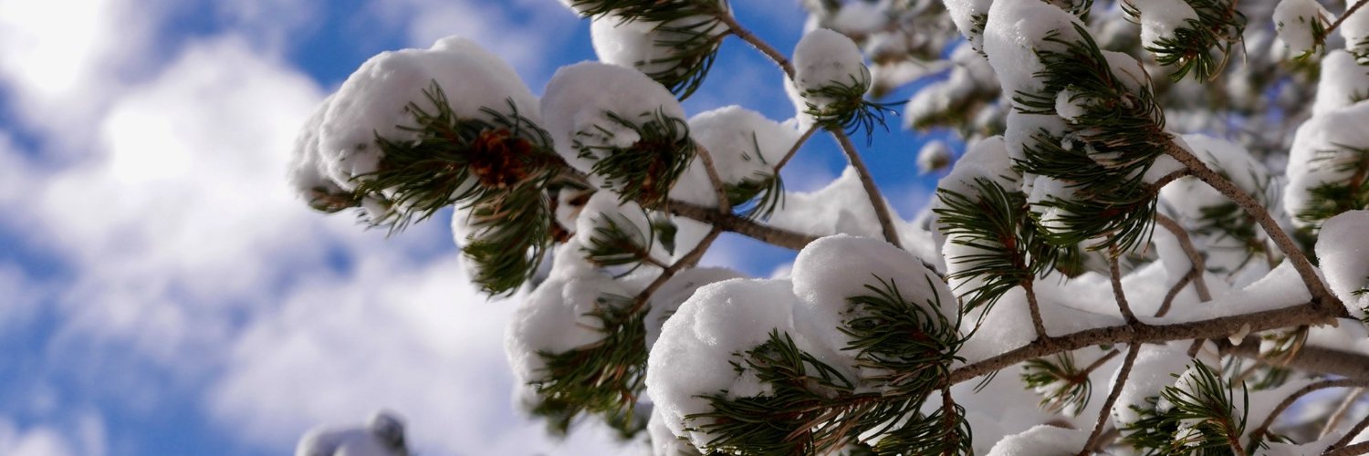 Santa Fe National Forest banner