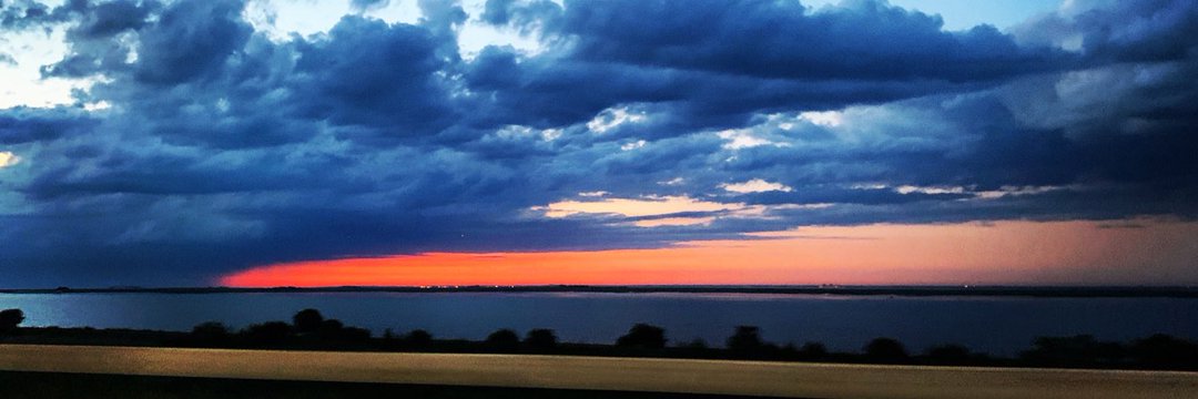 Orwell Was Right banner