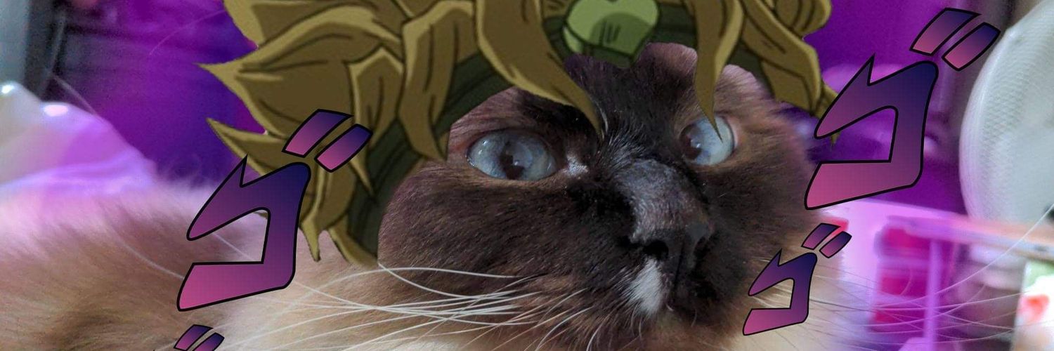 haleyxs_'s profile banner image